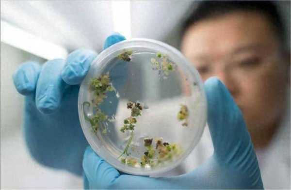 深富优配 重组人白蛋白技术突破的背后：生物医药产业需要创新“生态圈”