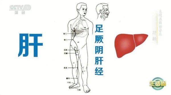 兴华配资 肝好不好 看这2处就知道！秋季养肝建议你做好这几件事→