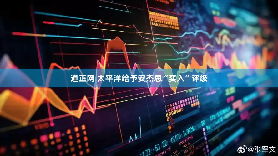 道正网 太平洋给予安杰思“买入”评级